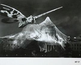 丛林深处 封面图